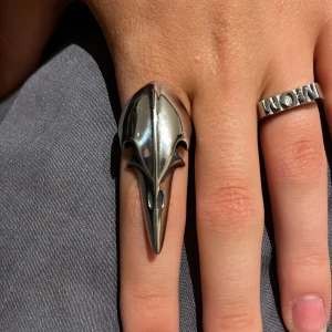 ring rostfritt stål - supercool ring i rostfritt stål med korpmotiv⚡️storlek 54 vilket ungefär motsvarar 17❣️köpt för 350kr