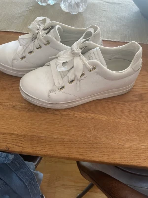 Vita sneakers - Gant skor st 36