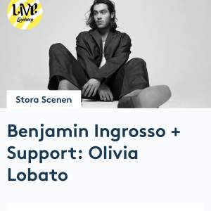Säljer en biljett till Benjamin ingrossos slutsålda konsert på Liseberg, pga att jag bara fick tag på en! 