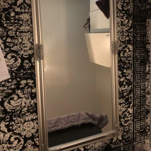 SPEGEL - 1,65m spegel 🪞 