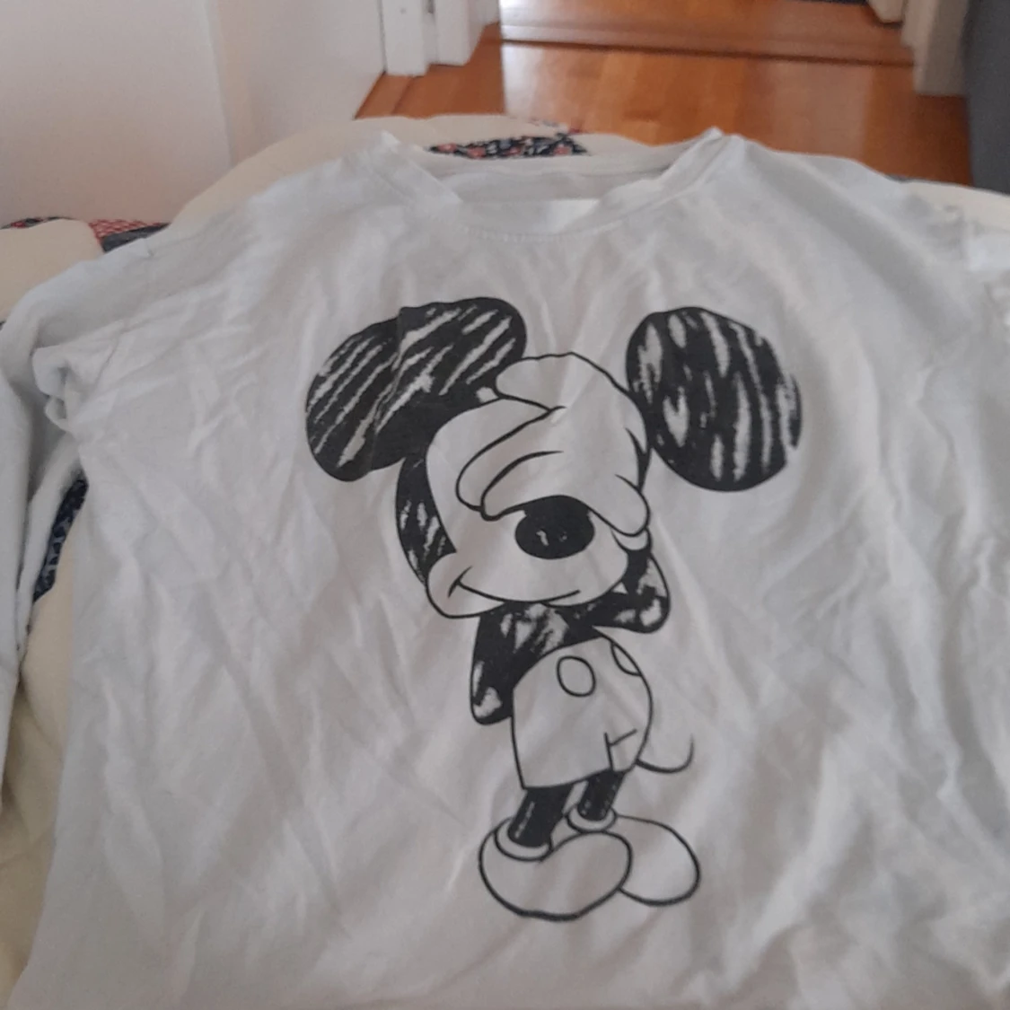 Långärmad disney