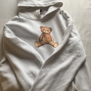 Fasionbear tröja  - Säljer en fasionbear tröja för att andvänder inte längre har andvänt den lite den är (ÄKTA!!) priset kan vi snacka om om du vill ändra