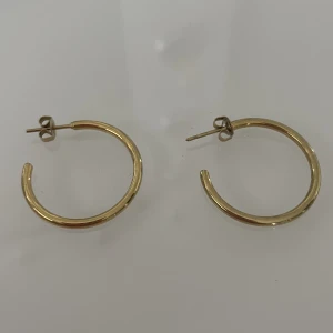 Guldpläteradd örhängen - Jättefina oanvända guldpläterade örhängen från edblad!❤️2 cm i diameter❣️