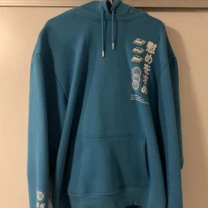 Hoodie  - Säljer en ljusblå hoodie från Zalando. Använd fåtal ggr så den är i mycket bra skick. Går att skicka och då står köparen för frakten. 200kr eller rimligt bud.