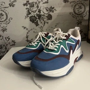 Skor  - Väldigt bra skick dock är ena flärpen sönder där bak. 