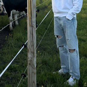 Levis Jeans - Levis 551 jeans med detaljer bak. Använda 1 gång då dem beställdes i fel storlek. Storlek: W33 L32 💕