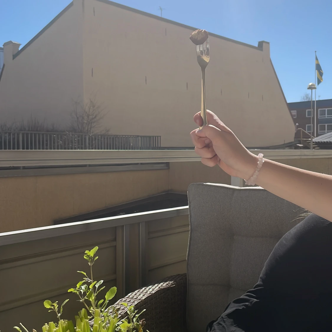 Halväten köttbulle - 90