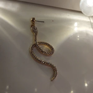 Örhängen  - Suldiga,diamanter,örhängen,lite andvänt, orm 