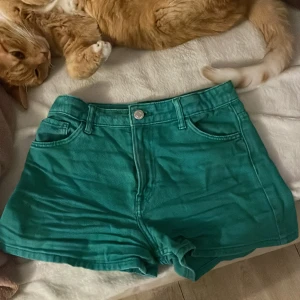 Shorts gröna - Gröna shorts. Inga skador eller fläckar. Användvänt 13+ gånger (KÖP INTE OM DU ÄR ALERGISK MOT KATTER🙅‍♀️) Original pris ungefär 159 kr (kmr nt ihåg)