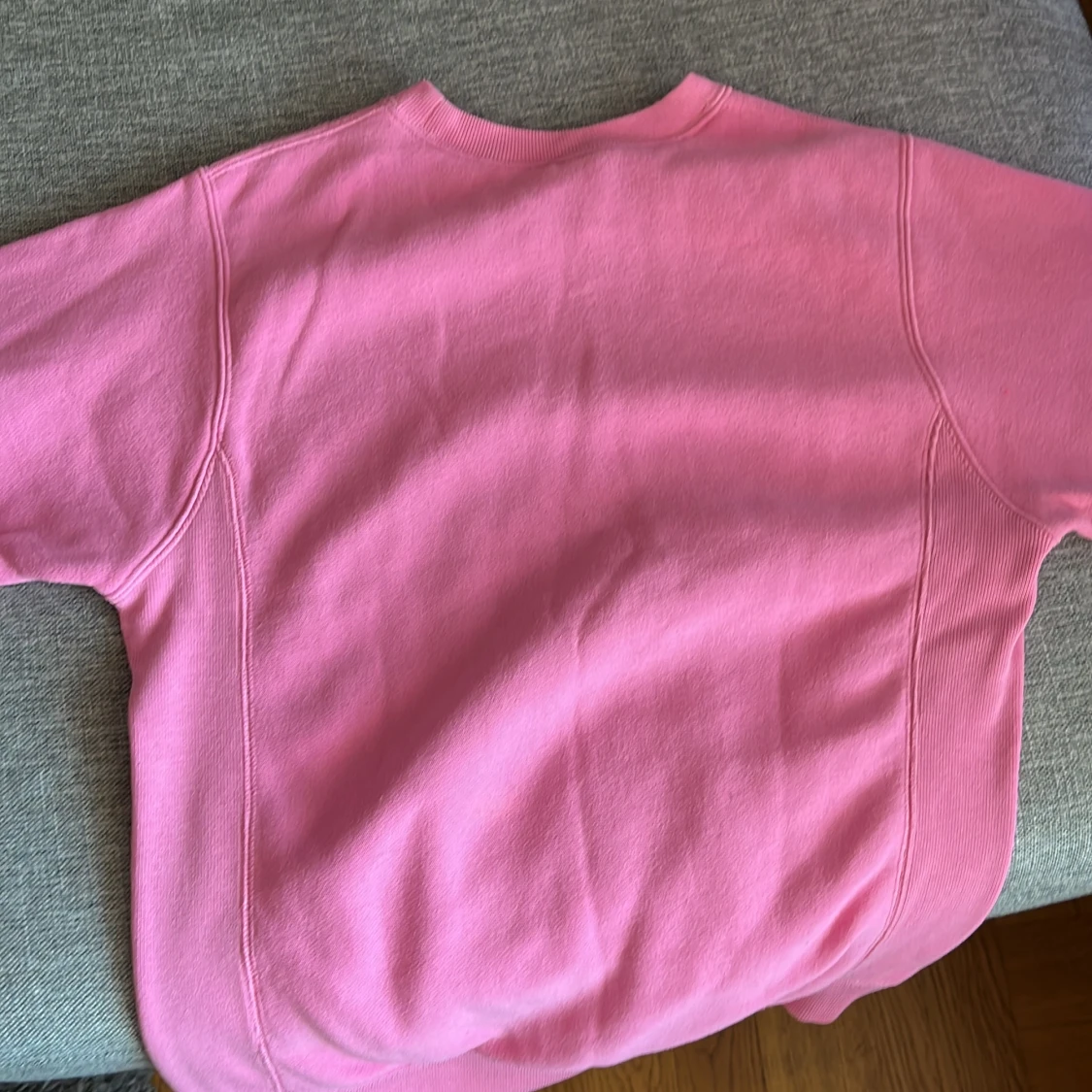 Rosa Champion sweatshirt  - 91