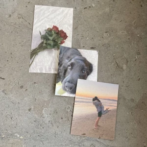 Klistermärke med egen bild - Bild på klistermärket väljer man själv!                     Storlekarna varierar mellan 5,5x4cm - 3,5x3,5 beroende på om bilden är kvadrat eller rektangel!                                                         De kostar 7kr/st och frakt 20kr