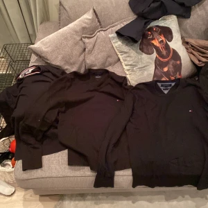 Tommy hilfiger - Tommy Hilfiger sweatshirts