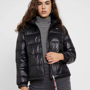 Levi's dunjacka - Säljer denna glansiga dunjacka ifrån Levi's. Perfekt nu till hösten!😍 Mycket fint skick, nypris 1 295 kr, slutsåld! Säljer för 300 + köpare står för frakt❣️