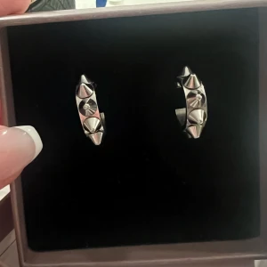 Edblad örhängen! - Ett par Edblad örhängen som knappt är använda! Super fint skick, skriva privat för frågor eller mer bilder✨