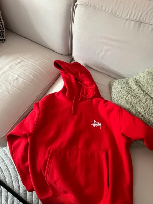 Stussy Hoodie - Stussy Hoodie i storlek S, Aldrig använd endast provad.