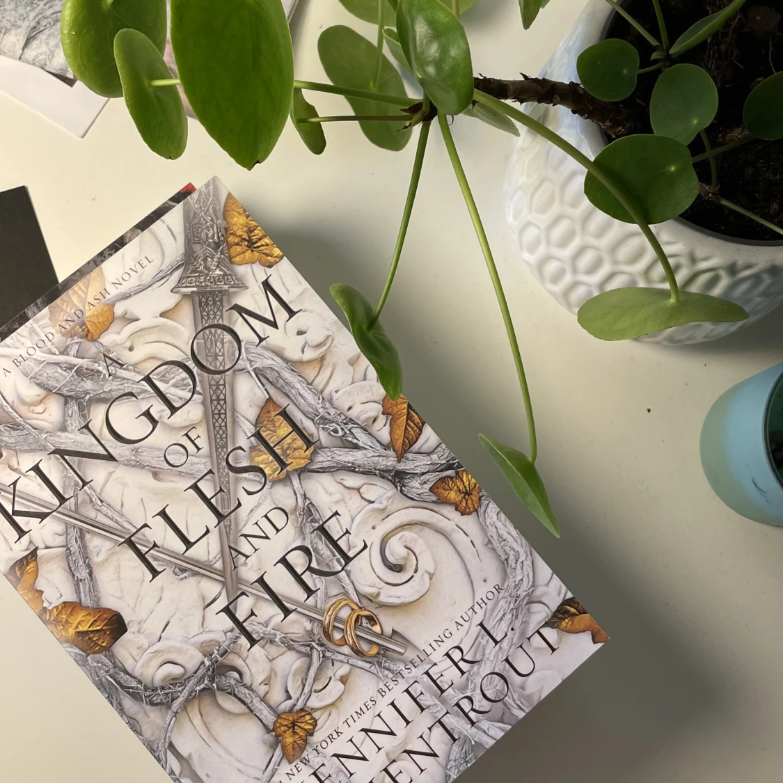 Fantasyserie: From Blood and Ash - 91