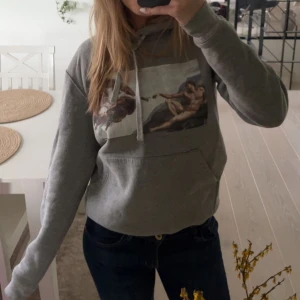 The cool elephant  - Hoodie från the cool elephant. Använd ett fåtal gånger och trycket är i fint skick. Den är köpt för 3 år sedan med är ej använd sen dess 