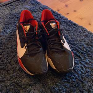 Basketball shoes (basket skor): Zoom freak 2 BRED Price Can be discussed