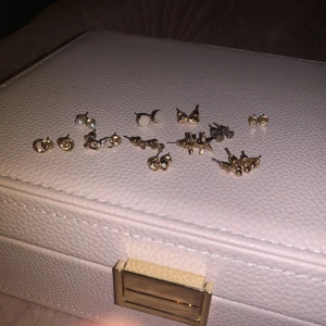 Örhängen - Asså jag måste bli av med dem så det är därför det är så lågt pris men de flesta är köpa i pack från någonstans jag inte kommer ihåg och jätte bra om man har flera hål