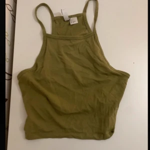 Linne - Linne i nyskick