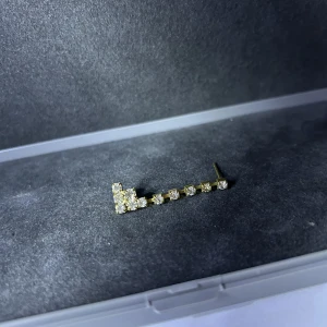 Kristall örhängen ”Roman” - Kristall örhängen ”Roman” Finns inne, hör ihop med ”Roman” ringen