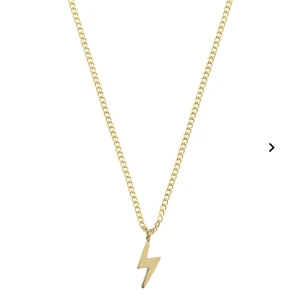 Blixt halsband Edblad - supergulligt guldigt blixt halsband ifrån Edblad⚡️💗 aldrig använt därav nyskick💕 säljer då den inte kommer till användning, frakt tillkommer💗💕nypris: 299kr