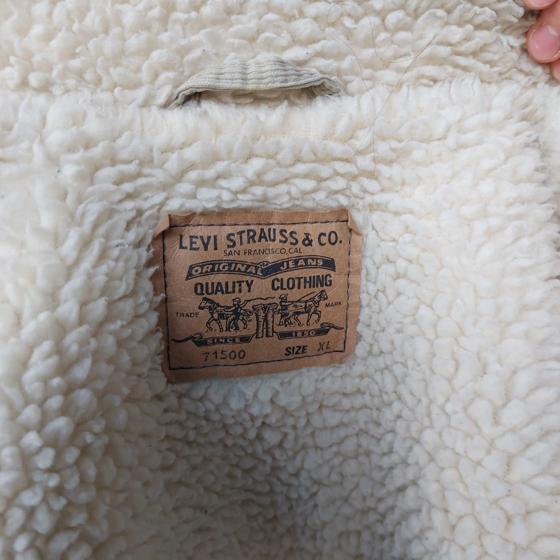 Jacka levis manchester XL - 91