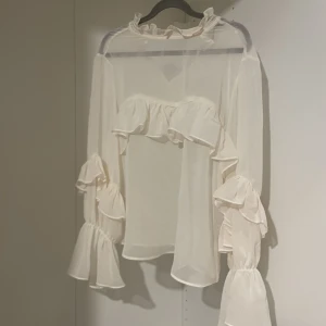 Zara blus - Otroligt vacker lite festligare, genomskinlig, lång ärmad blus från zara! Inget tecken på användning då den köptes hyfsat nyligen. Hör jätte gärna av dig vid frågor🤩