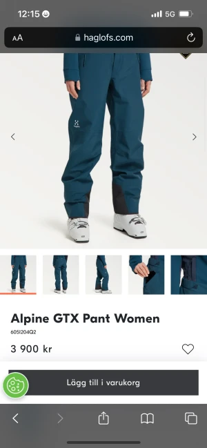 Haglöfs alpin byxor - Oanvända alpin byxor i storlek L. Nypris 3900