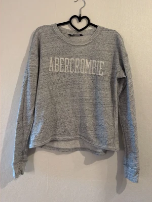 Grå sweatshirt - Mysig grå sweatshirt från Abercrombie med tryckt logga framtill. Tröjan har rund halsringning, långa ärmar och är tillverkad i mjukt sweatshirtmaterial. 