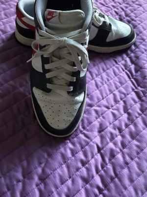 Snygga Nike Dunk Retro - Ett par troligtvis äkta Nike Dunk Retro, inte helt säker dock. Men oavsett väldigt snygga! Herrstorlek 44. Hör gärna av er vid frågor! :)