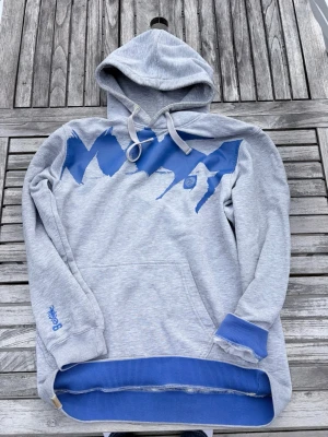 Grå hoodie med blå detaljer - Snygg grå hoodie med blått grafiskt tryck över bröstet och blå ribbade muddar. Stor känguruficka framtill och justerbar huva med dragsko. Materialet är mjukt och skönt, perfekt för en avslappnad stil. Tryck även på ärmen och ryggen.