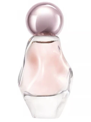 Kylie Jenner parfym - Kylie Jenner parfym 30 ml som luktar super gott och som är perfekt för sommaren! Endast använd 2 gånger och är helt som ny. Kontakta mig om du är intresserad💕Pris kan diskuteras