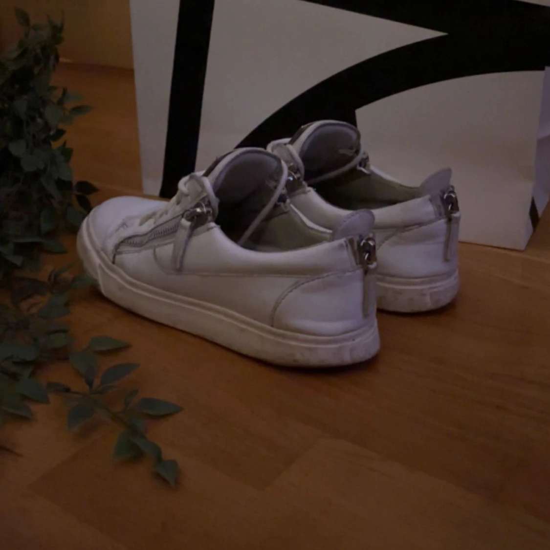 Giuseppe zanotti skor - 1