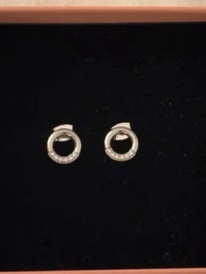 Edblad örhängen  - Oanvända örhängen från Edblad!!❤️