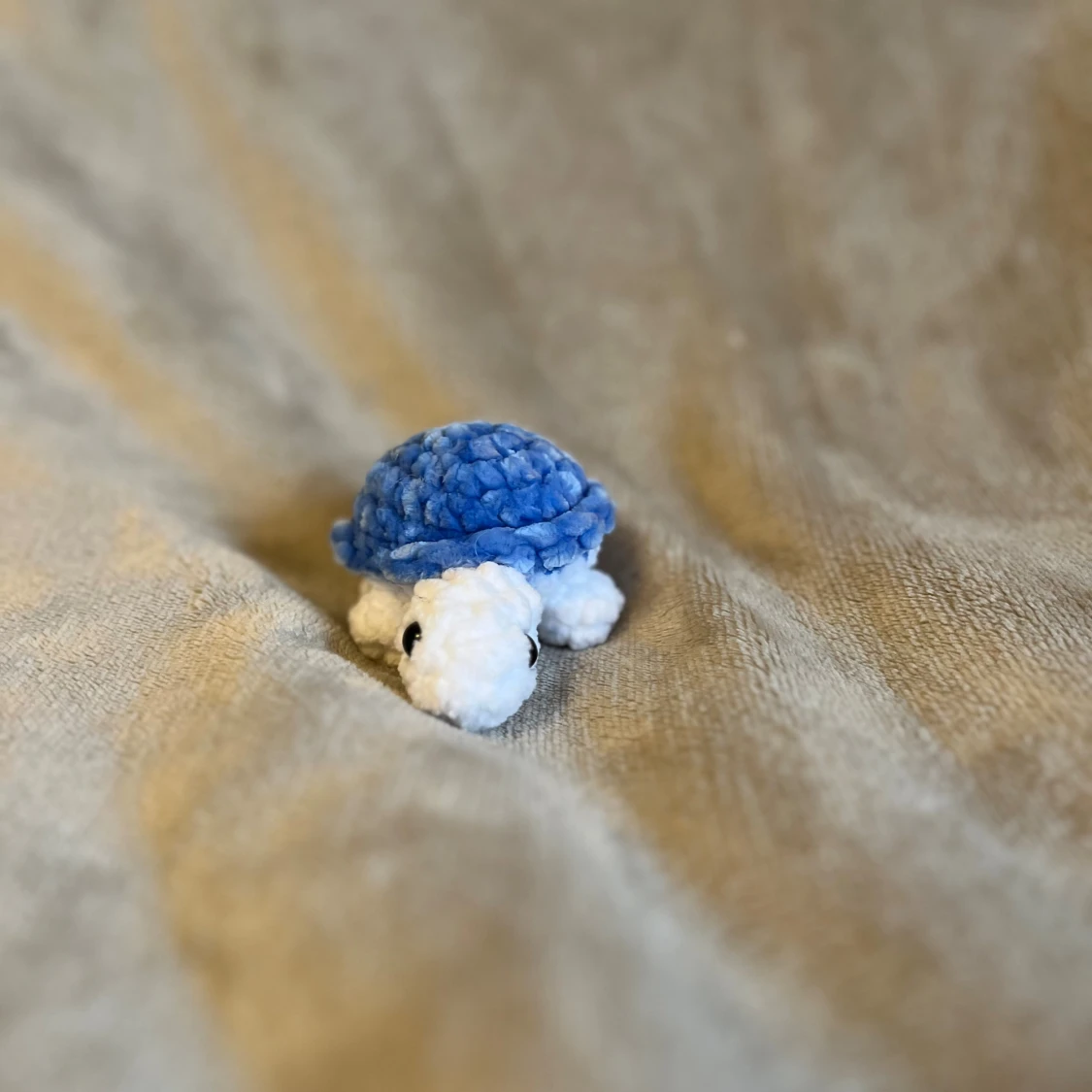 Blå sköldpadda  - 1