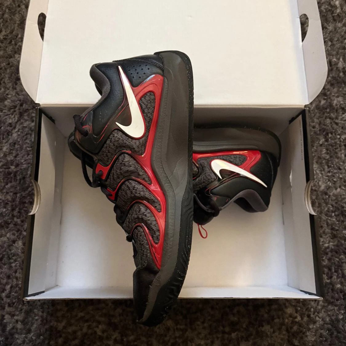 KD 17 bred - 3