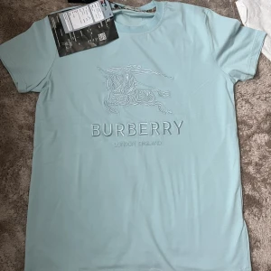 Ljusblå t-shirt - Mycket fin t shirt som är mycket perfekt nu inför sommaren. Skick 10/10 och i storlek M