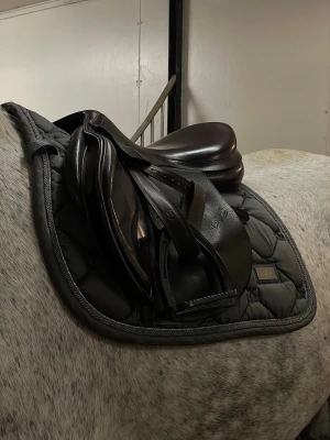 Equestrian Stockholm Bling Grå - Säljer ett stilrent schabrak i en fin mörkgrå färg, storlek full hopp, som passar lika bra till att glänsa på träning som på tävling💛  Schabraket kom smutsigt och nopprigt, men har sedan lagts ner mycket tid på att få i fint skick igen.  Det är: ✨noggrant tvättat  ✨noppor är borttagna för ett jämnt och fräscht intryck  ✨en diskret och vacker strassrand som ger ett elegant lyft, glänser mer i verkligen än på video  Du bidrar även till ett bättre klimat då detta inte främjar överkonsumtion 🌏