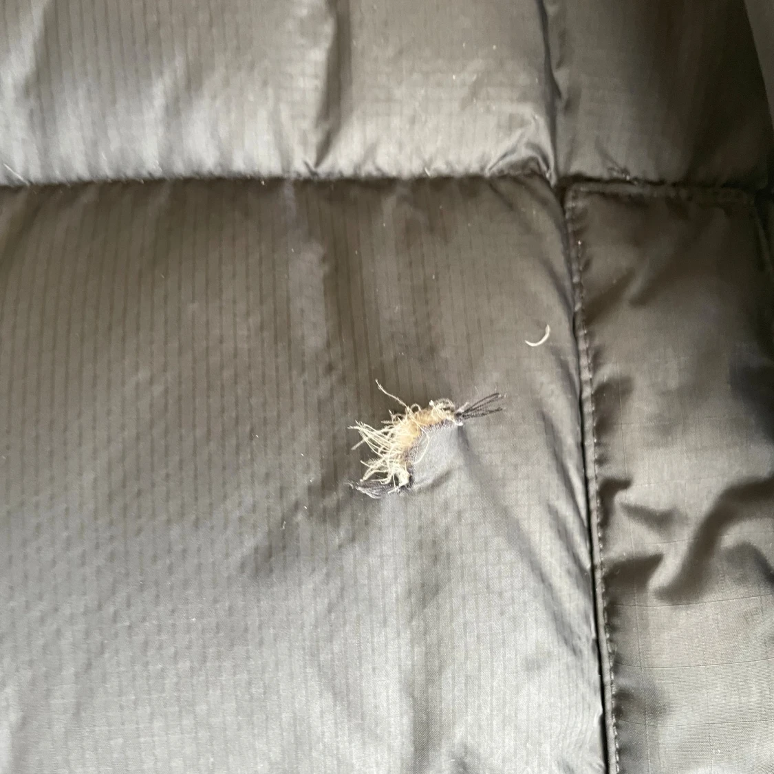 Svart dunjacka från The North Face - 1