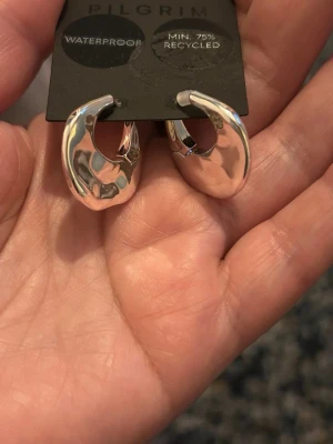 Örhängen pilgrim  - Nya 