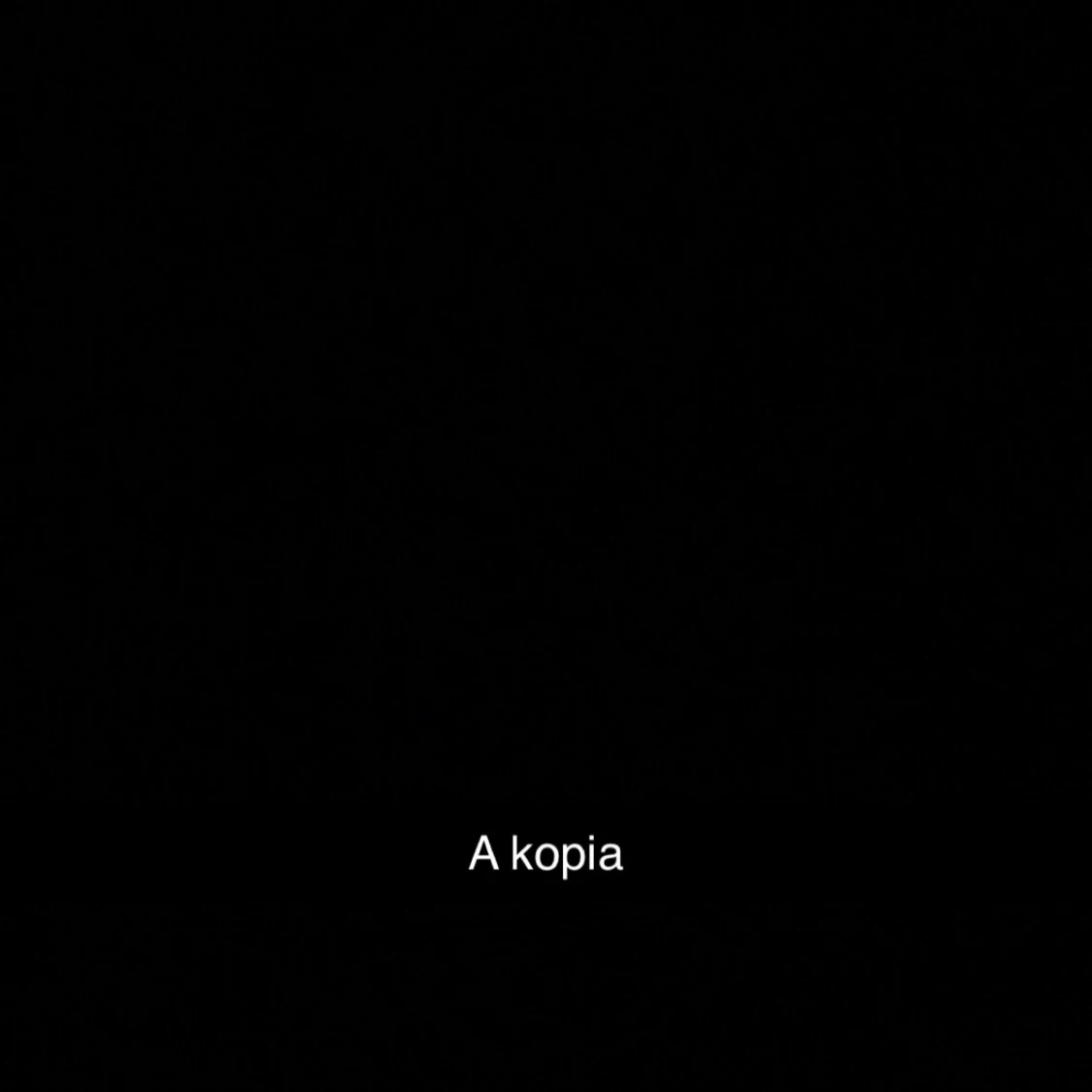 Svart dunjacka från Canada Goose S - 4