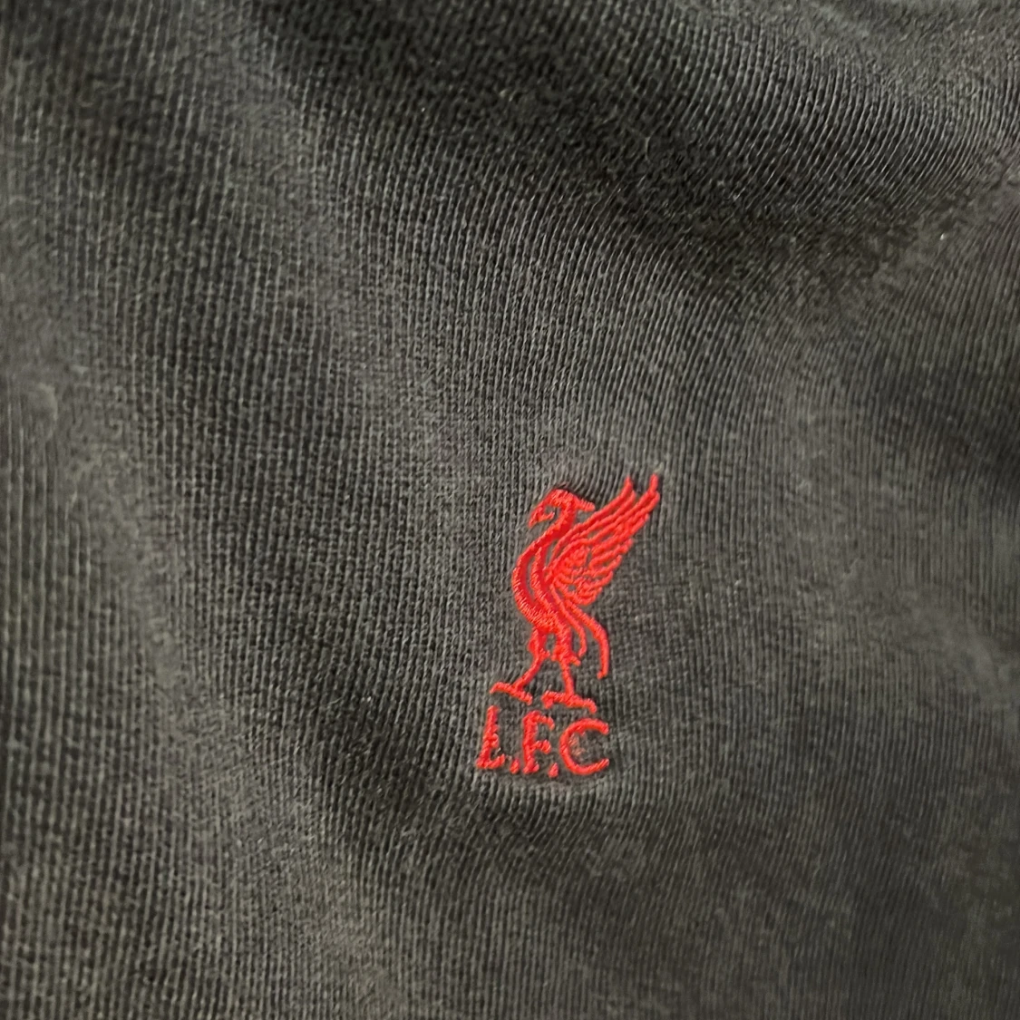 Liverpool zip hoodie - 2