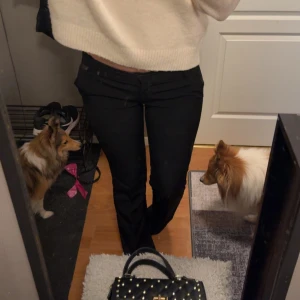 Bikbok Vera Kostymbyxor TALL - Säljer ett par svarta kostymbyxor med låg midja. Byxorna har en klassisk siluett med lätt utsvängda ben och är tillverkade i ett mjukt material som ger en snygg passform. Perfekta för dig som gillar stilrena och tidlösa plagg. Tall modellen, jag är 172.