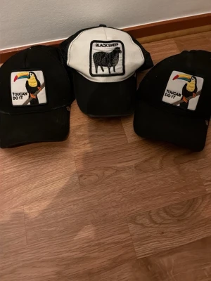 Trucker keps - Säljer 3 kepsar som inte kommer till användning. 30kr styck