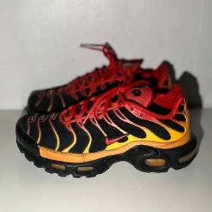 Nike Air Max Plus Tn - Nike Air Max Plus Tn i bra skick med box.