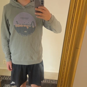 Grön hoodie från Jack & Jones - Snygg ljusgrön hoodie från Jack & Jones i storlek L/M med tryckt rund logga på bröstet i lila, grått och orange. Tröjan har huva och långa ärmar, samt ribbade muddar. Tillverkad i mjuk bomullsblandning, perfekt för chill dagar. Pris kan diskuteras.