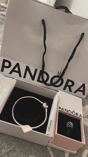Pandora armband med berlock  - Aldrig använd, inget kvitto då jag fått i present 💗