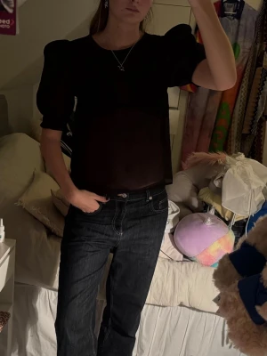 Svart transparent topp med puffärm - Snygg svart transparent topp med puffiga korta ärmar och rund halsringning. Tunt och lätt material som ger en cool look. Perfekt att styla med jeans eller kjol för en trendig outfit.