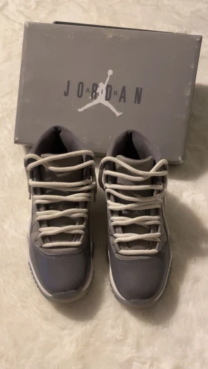 Air Jordan’s cool grey - Sålda 